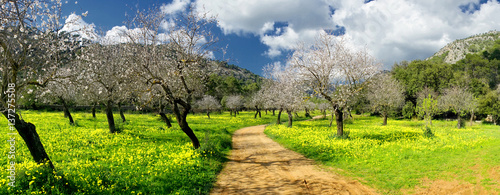 Fotografija Lands of raixa