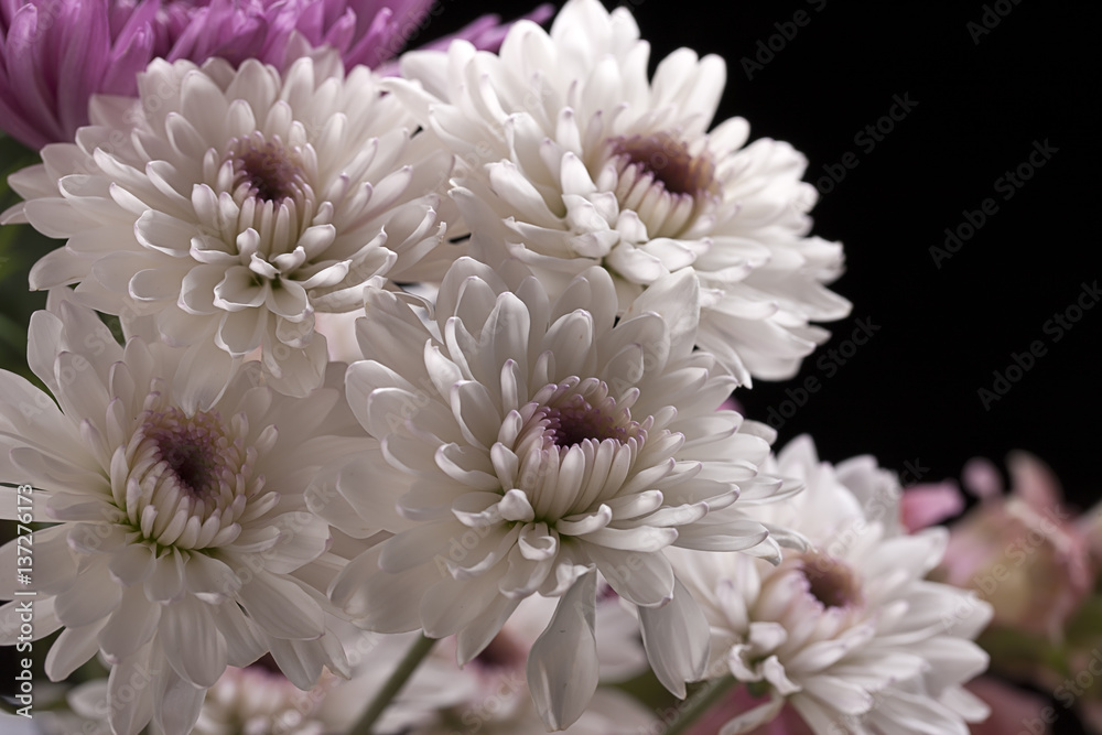 Bouquet of white mums.