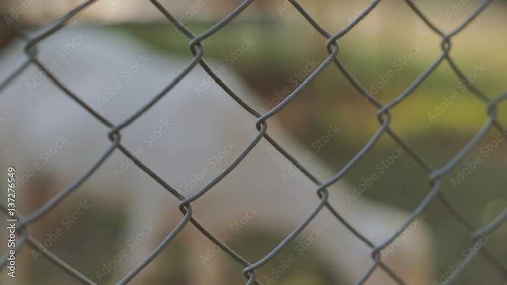 Wire steel fence in animal farm of Asian country
Wire steel fence in animal farm of Asian country