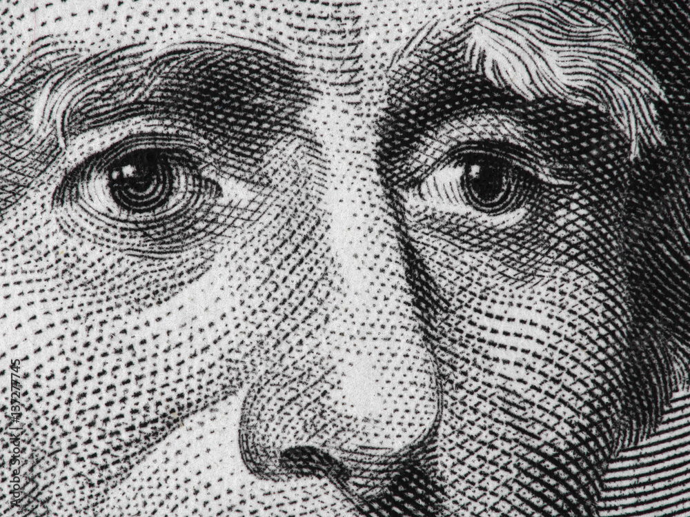 Obraz premium US president Andrew Jackson face on USA twenty dollar bill extreme macro, 20 usd, United States money closeup