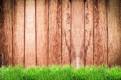 Fresh spring green grass on wood fence background