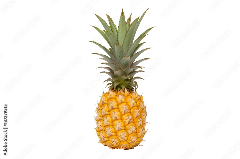 Close up of pineapple on white background Close up of pineapple on white background
