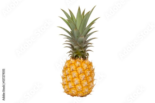 Close up of pineapple on white background