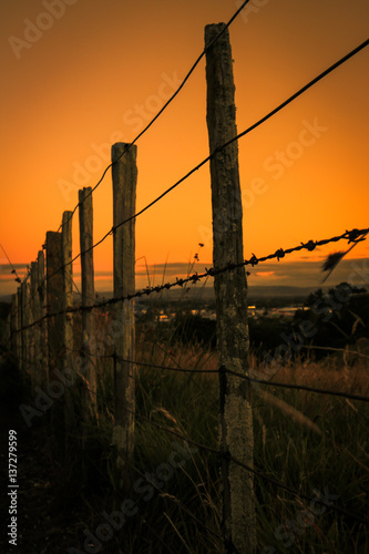 Fence silhouette