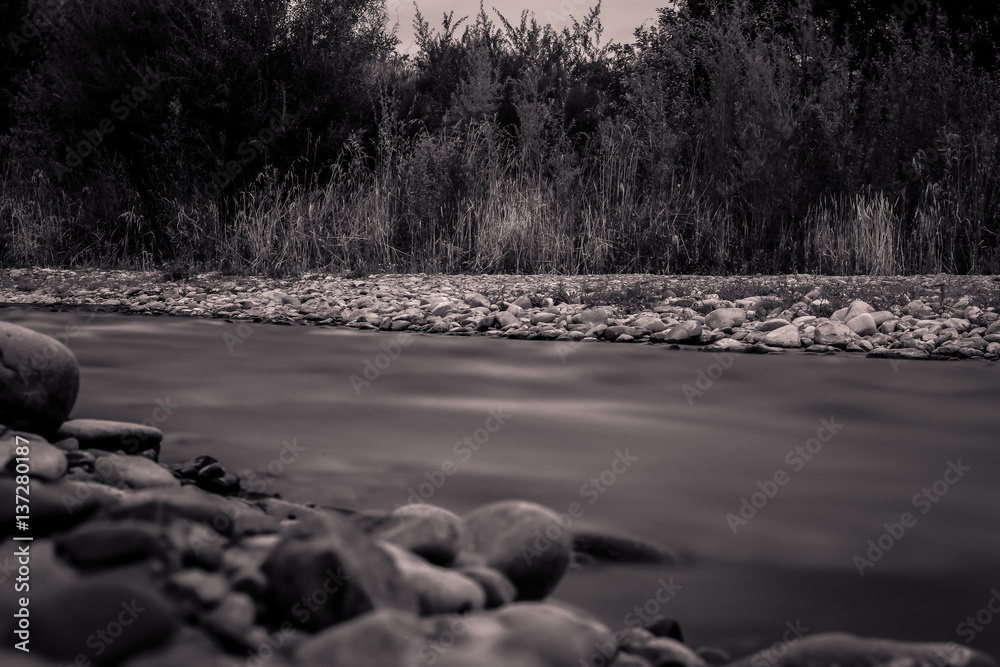 B&W river scene