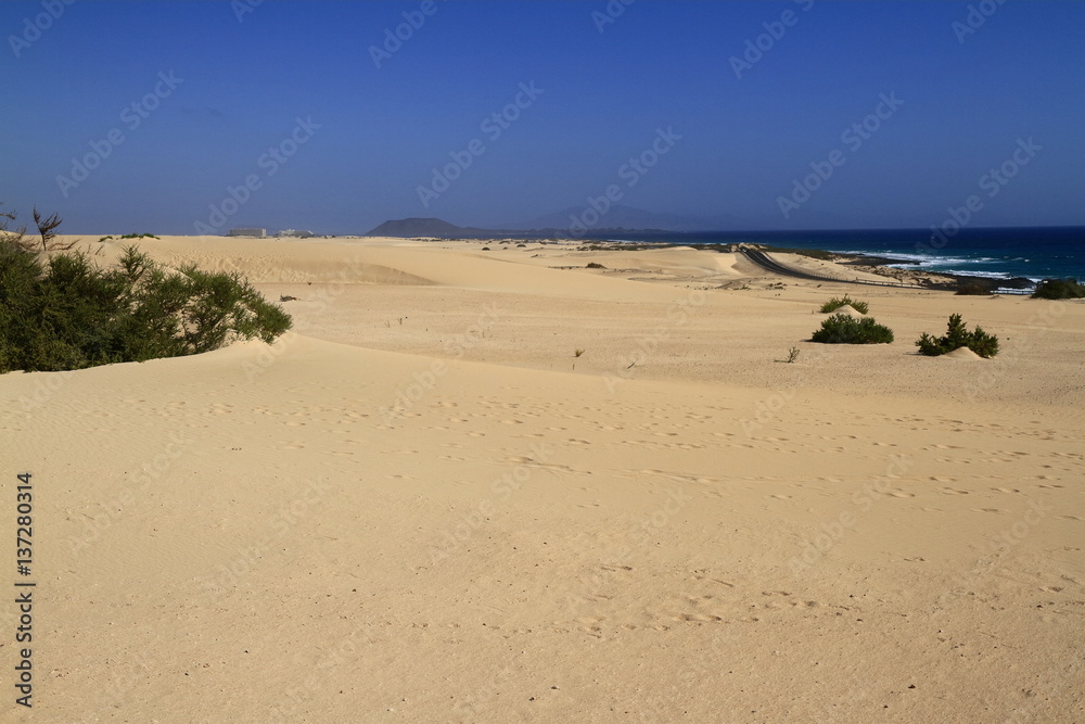Dunes of Corralejo, Fuerteventura