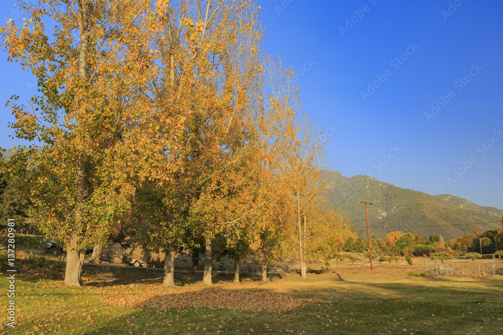 Beautiful fall color over Oak Glen area Beautiful fall color over Oak Glen area