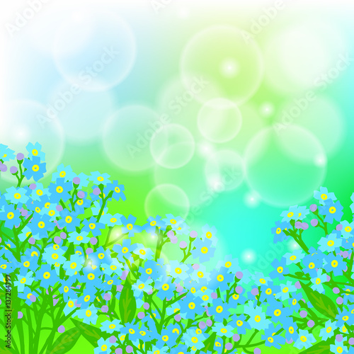 Card with forget me not flowers on sun light