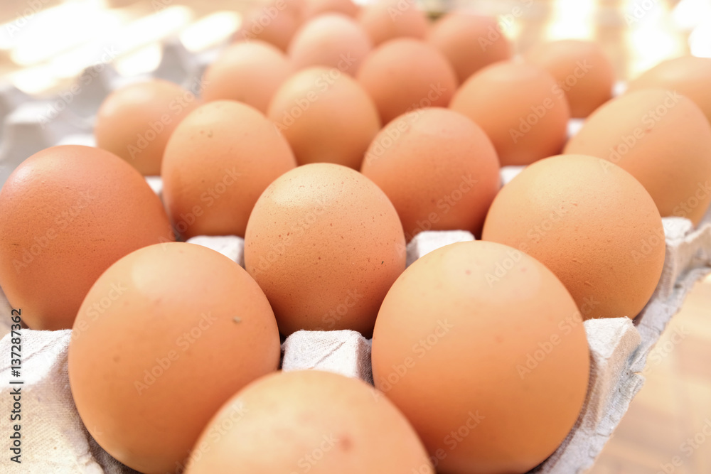 Chicken egg in panel eggs