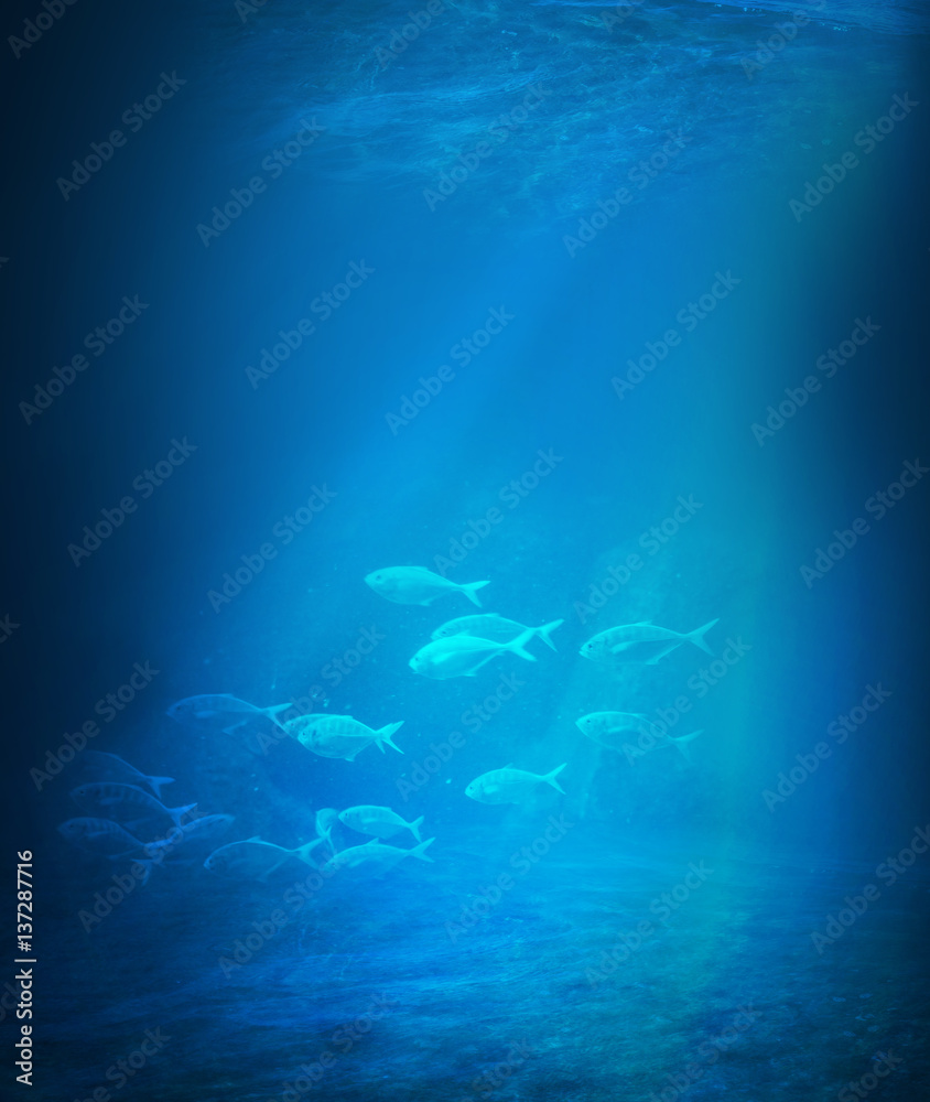 Fototapeta premium Deep blue sea background with sunlight shining 