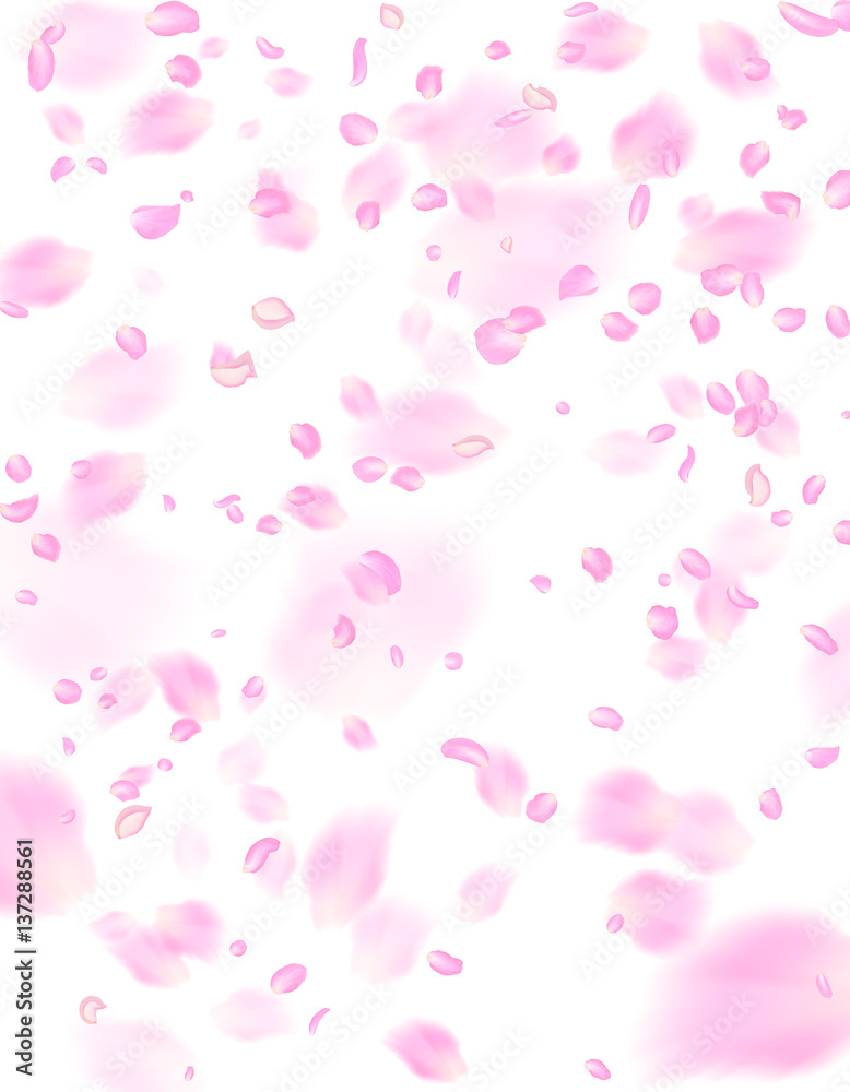 Abstract background with flying pink rose petals. Vector illustration isolated on a background.