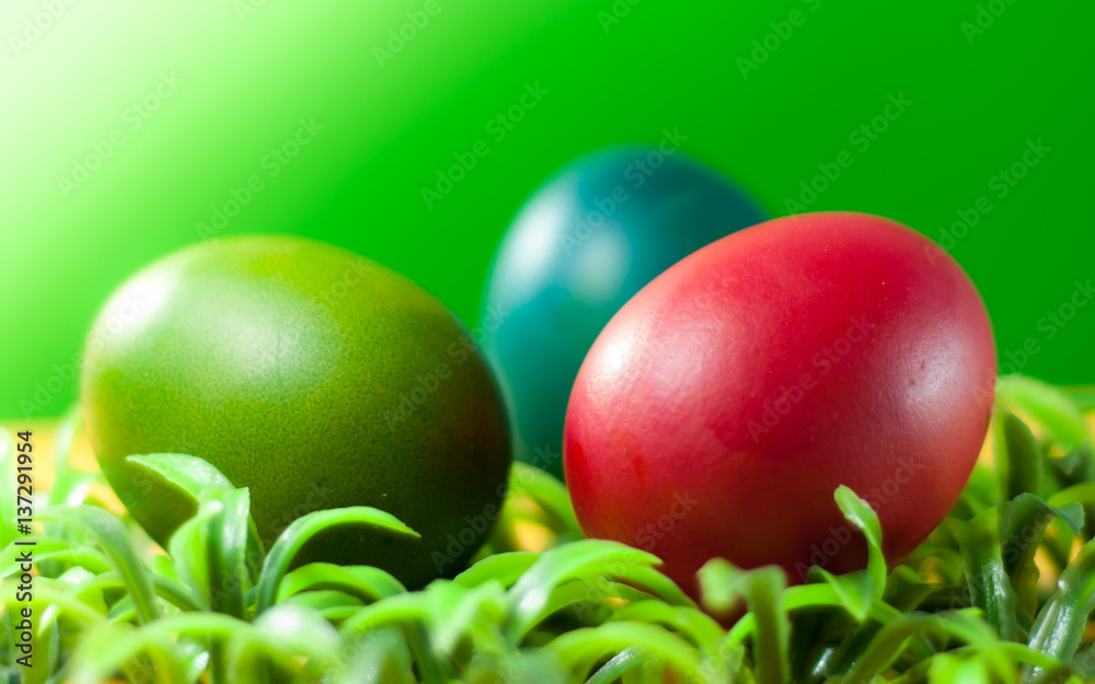 Easter egg decorating the bright day. can you use for greeting card Easter egg decorating the bright day. can you use for greeting card