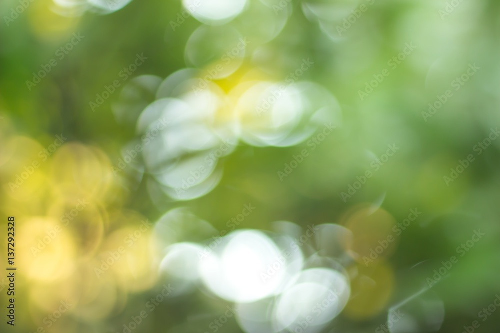 Obraz premium green blurred backdrop of nature, circle light wallpaper, white bokeh background