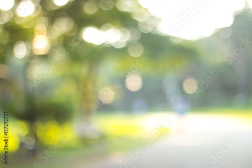 green blurred backdrop of nature, circle light wallpaper, white bokeh background