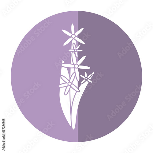 star cluster flower ornament shadow vector illustration eps 10