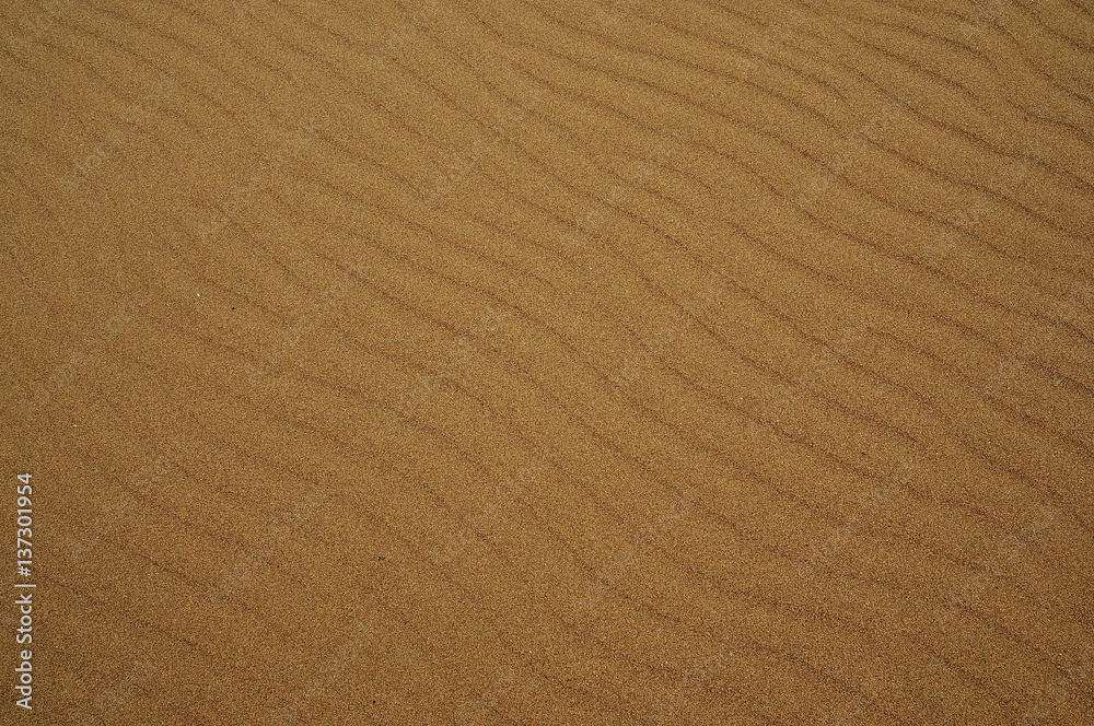 Many kind of rubbishes on the beach. Many kind of rubbishes on the beach.