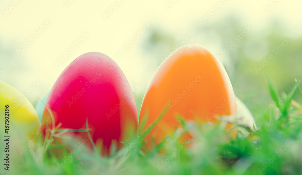 Easter eggs on green grass. Spring holidays concept