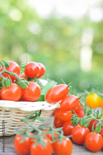 Tomato in basket on wood from Thailand selective and soft focus