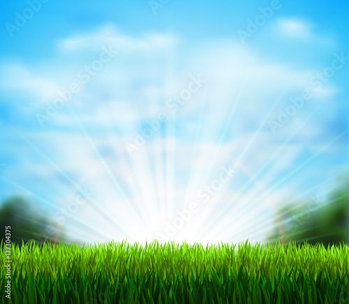 Spring on the fresh green glade with grass. Season background with blue sky, sunshine and white fluffy clouds.