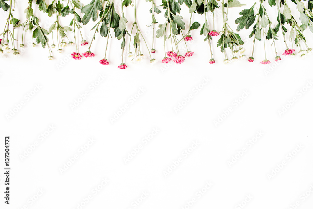 Red and white wildflowers on white background. Flat lay, top view. Creative flower background concept. Red and white wildflowers on white background. Flat lay, top view. Creative flower background concept.