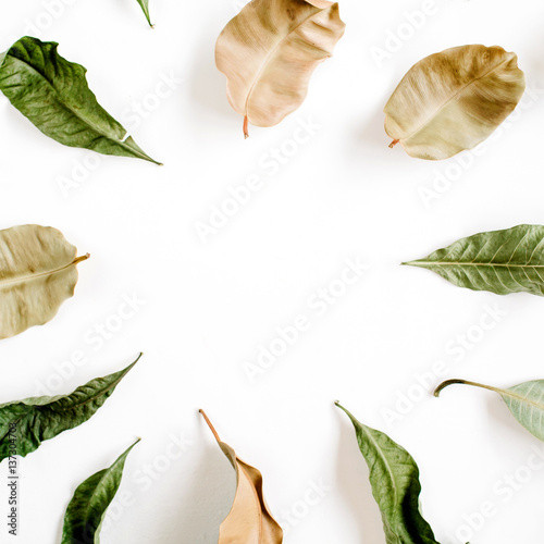 Green and brown pale leaves frame on white background. Flat lay, top view