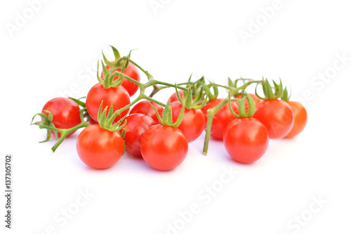 Close up group of tomato on white background