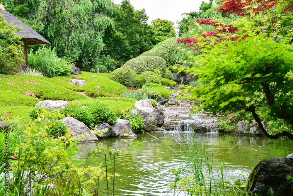 退蔵院　日本庭園