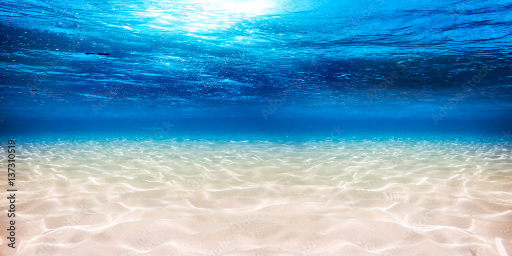 Fototapeta pusta podwodna panorama plażowa piaskowata laguna sztandaru backround błękitny oceanu morza / podwodnej laguny piaska tła szablon
