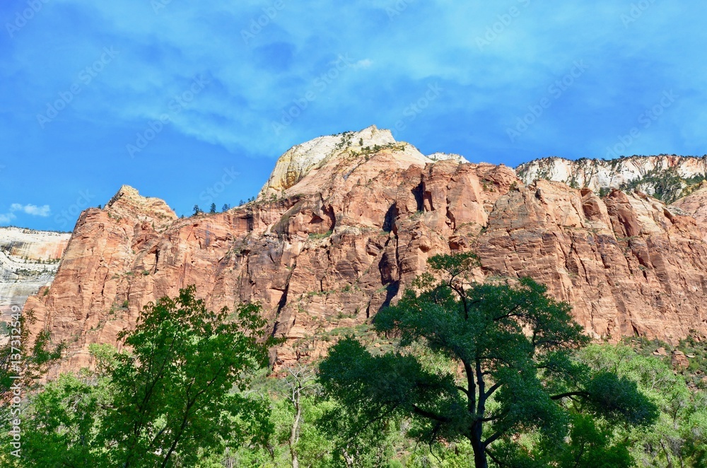 A mountain in Zion National Park
