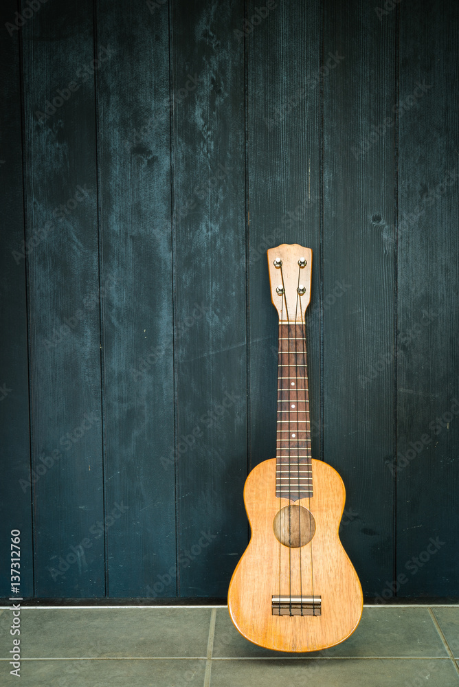 Obraz premium ukulele with black wall background