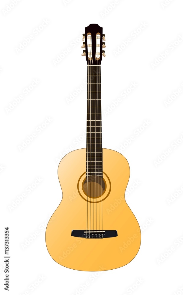 Beautiful acoustic guitar in color on a white background