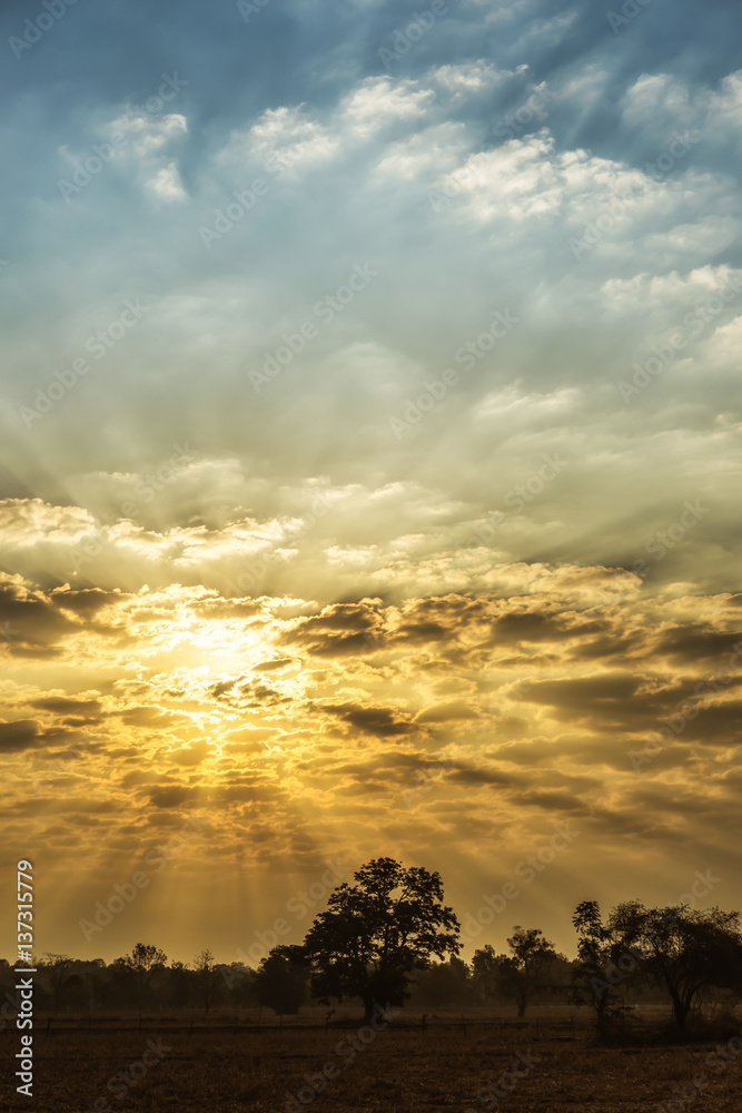 sky, cloud, rising sun, cornfield, abstract, background sky, cloud, rising sun, cornfield, abstract, background