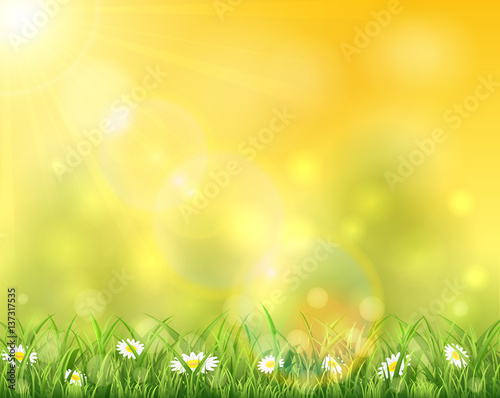 Nature and sun over grass