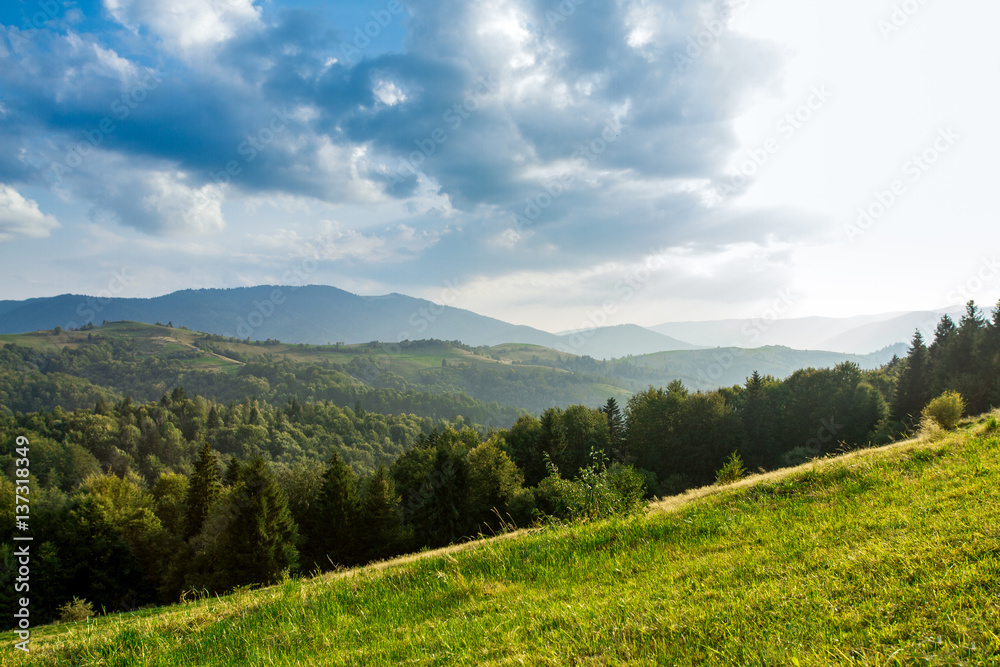 Beautiful landscape of summer Carpathian mountains.