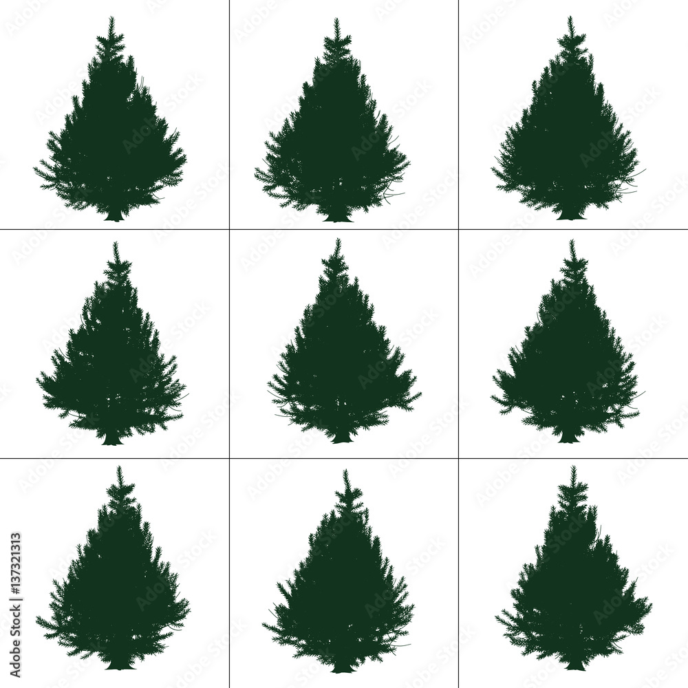 Obraz premium Trees collection