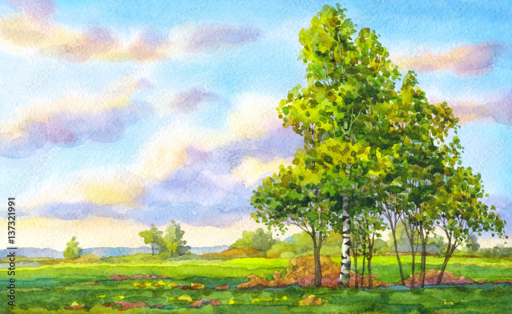 Obraz premium Watercolor landscape. The trees in the evening field