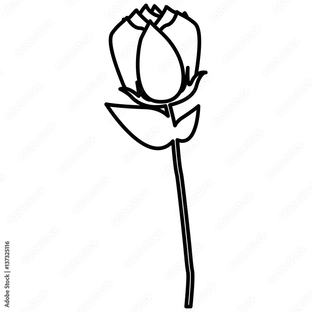 Fototapeta roses icon stock image, vector illustration design