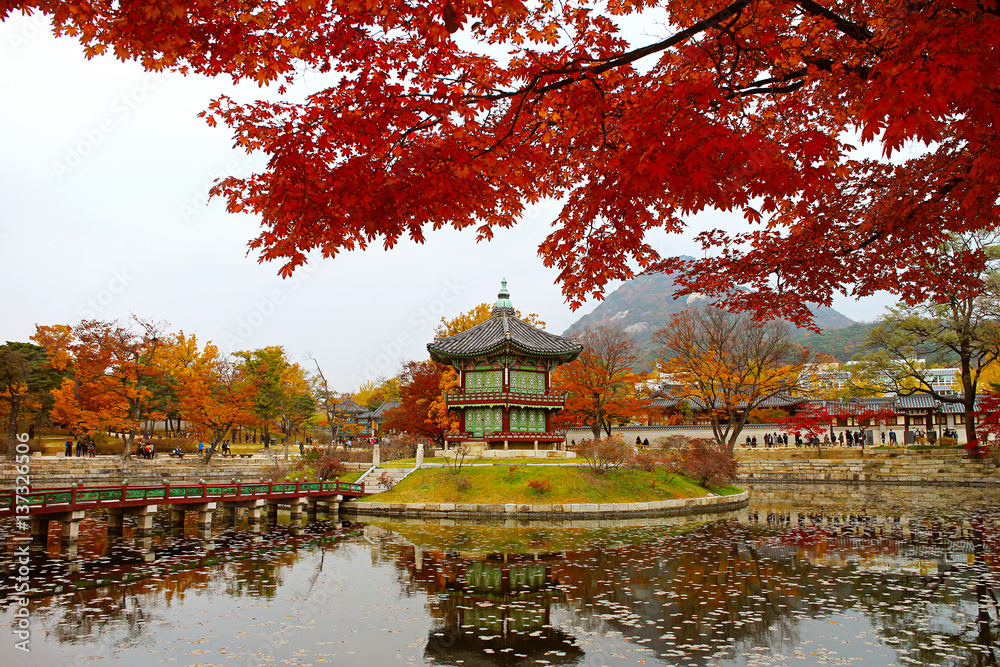 Obraz premium Gyeongbokgung Palace with red leaf in autumn,South Korea