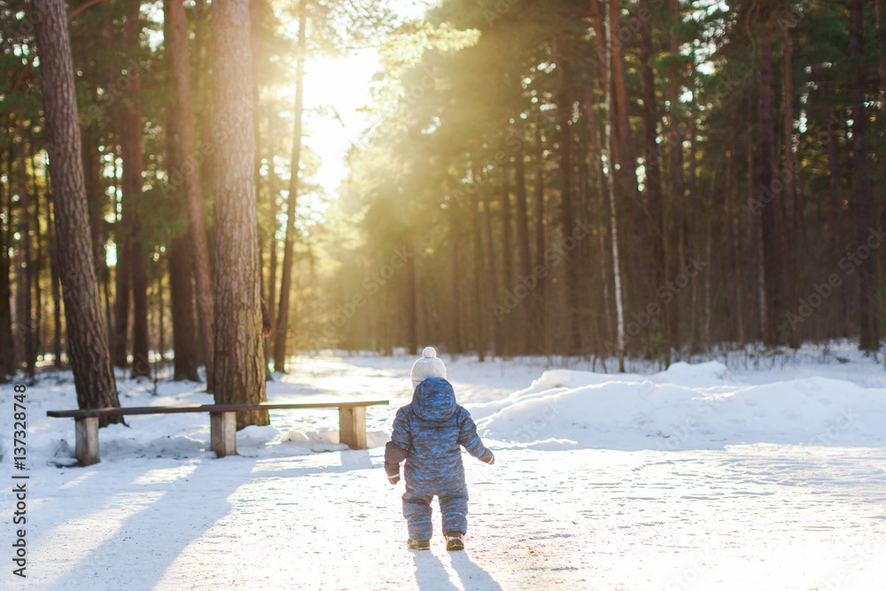 Child walks in the forest Child walks in the forest