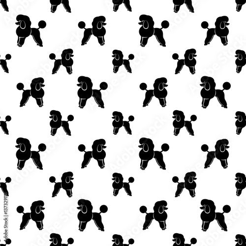 Poodle dog seamless background.