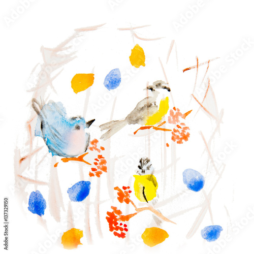Fototapeta Naklejka Na Ścianę i Meble -  hand painted watercolor birds
