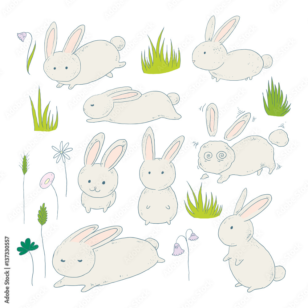 Cute bunnies and meadow grass Cute bunnies and meadow grass