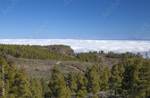 central Gran Canaria in January