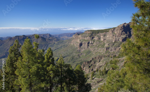 central Gran Canaria in January