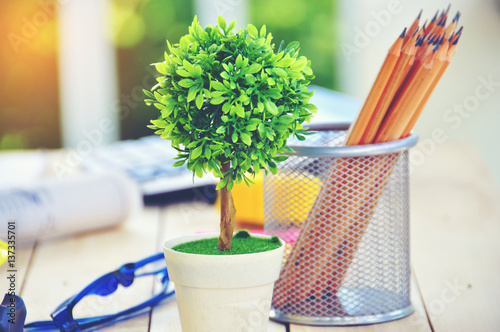 Wallpaper Mural Close-up a little tree decorate on working table with a business stuff. Torontodigital.ca