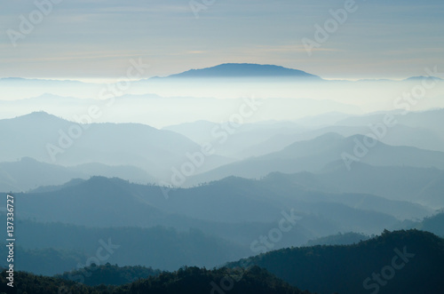 Fototapeta Naklejka Na Ścianę i Meble -  The Fog Mountain in the Morning at Mae Hong Son Thailand.