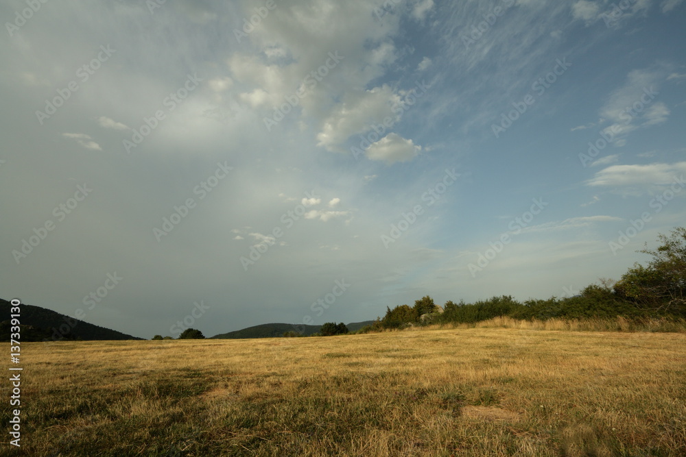 Prairie dans les Pyrénées audoises, France