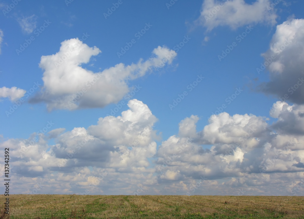 Landscape. Clouds over the field.