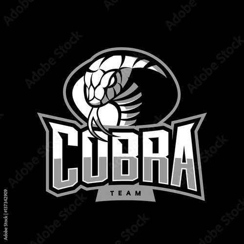 Furious cobra sport vector logo concept isolated on dark background. Web infographic military professional team pictogram.
Premium quality wild snake t-shirt tee print illustration.