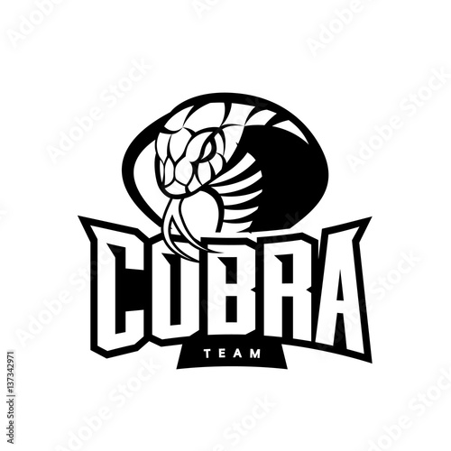 Furious cobra sport mono vector logo concept isolated on white background. Web infographic military professional team pictogram.
Premium quality wild snake t-shirt tee print illustration.